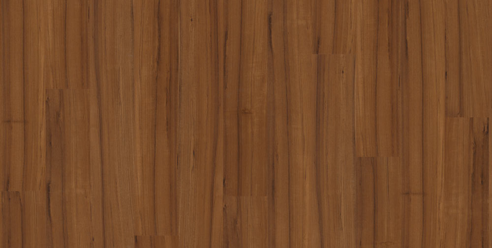 60_frontal_A4_RGB-in_0